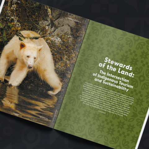 Stewards of the Land: The Intersection of Indigenous Tourism and Sustainability